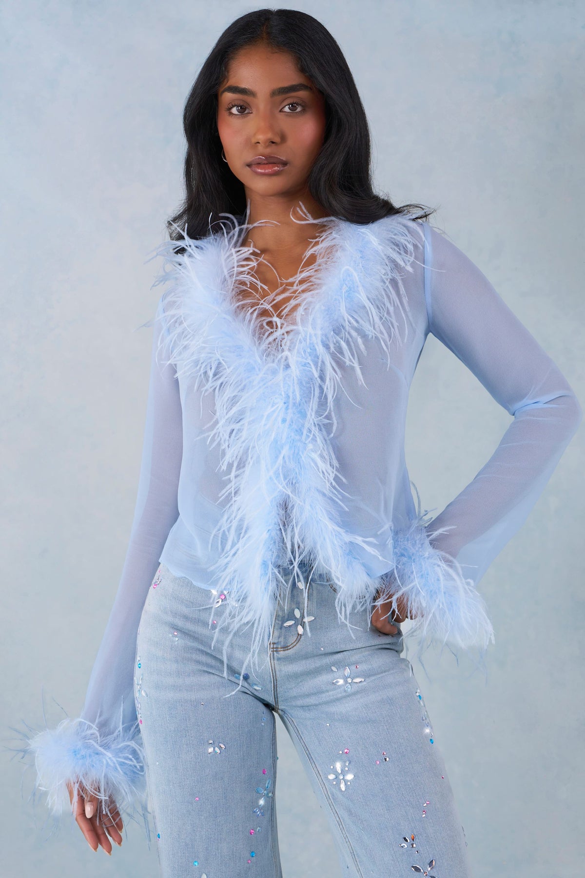 ⁣⁢Federbesetztes transparentes Top in Soft Blue⁤⁣ - 1
