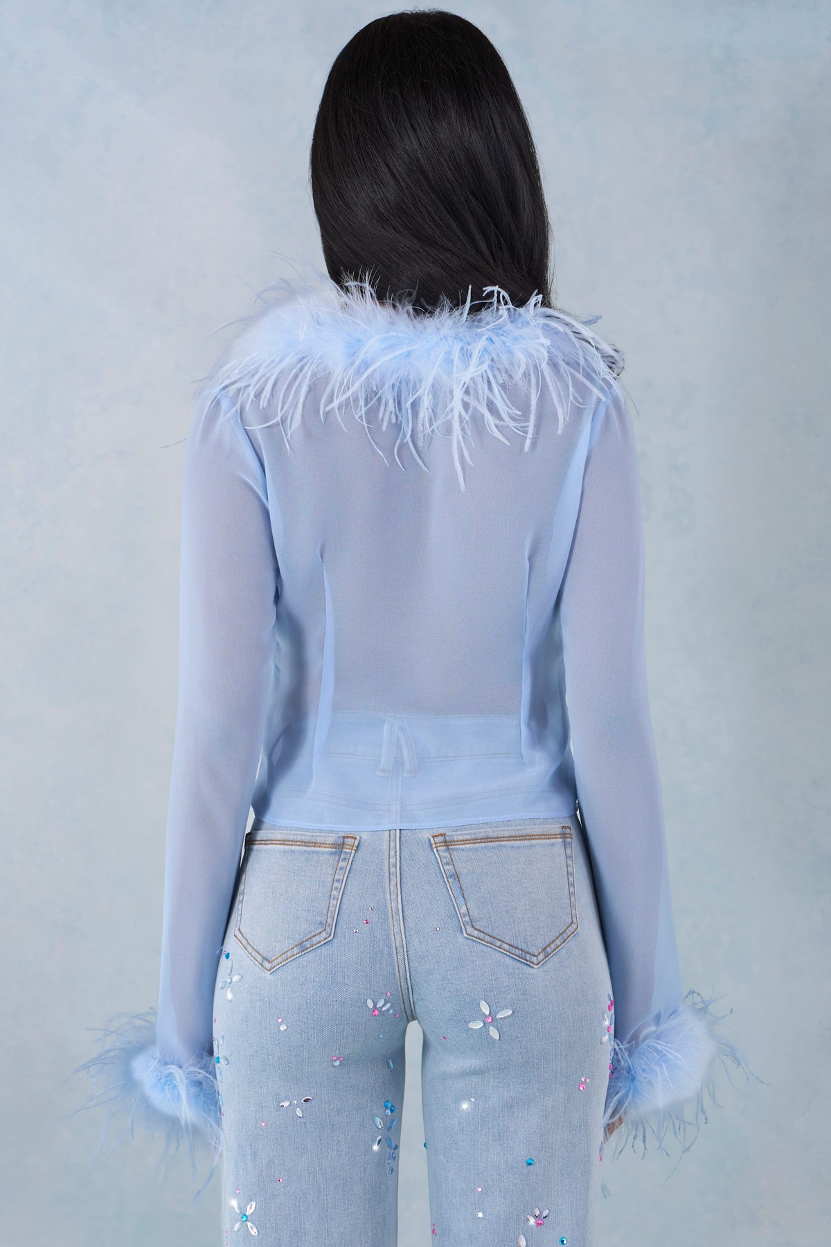 ⁣⁢Transparentes Oberteil mit Federbesatz in Zartblau⁤⁣