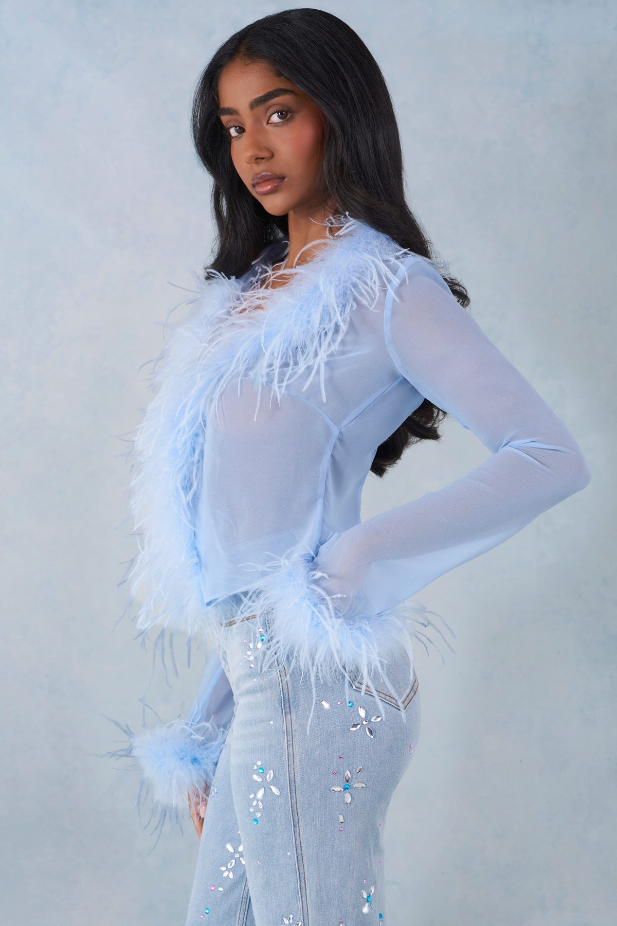 ⁣⁢Transparentes Oberteil mit Federbesatz in Zartblau⁤⁣