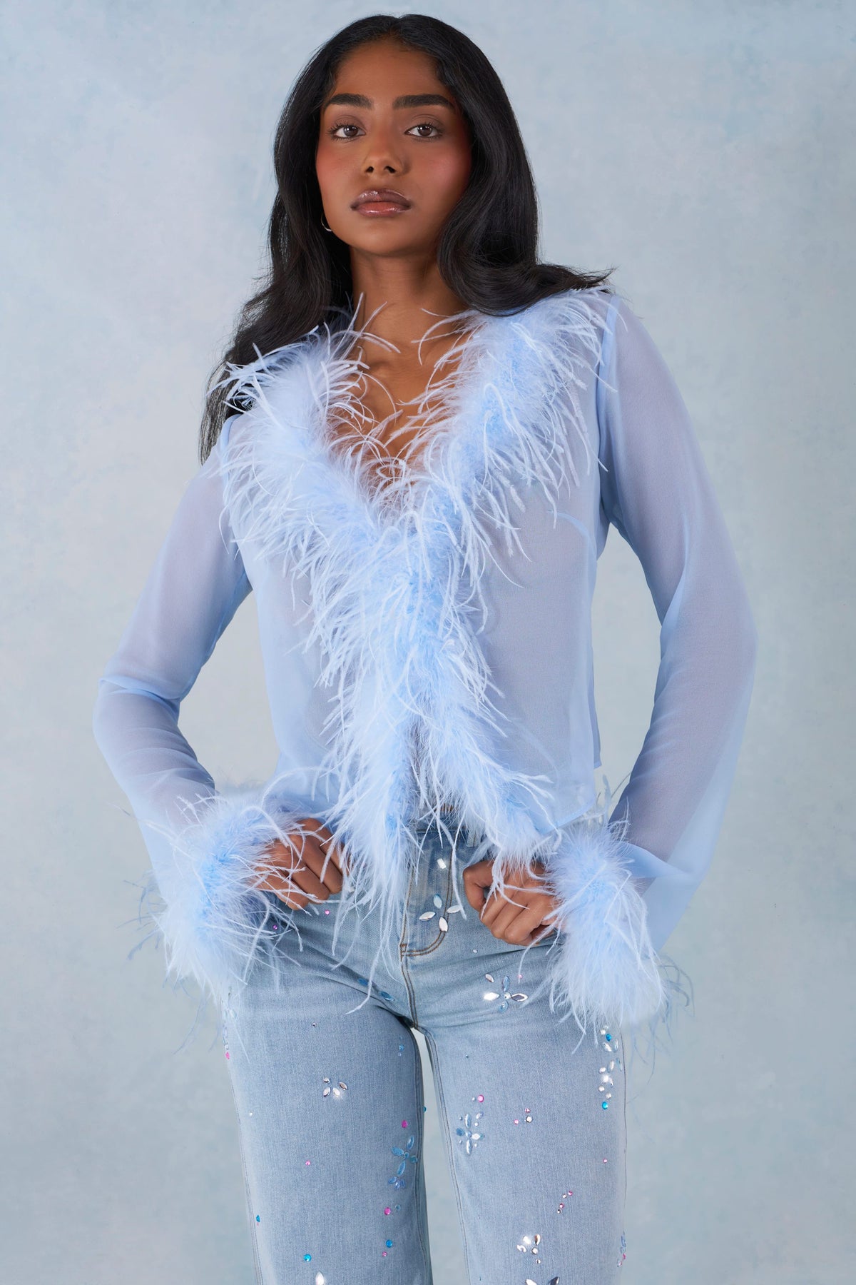 ⁣⁢Transparentes Oberteil mit Federbesatz in Zartblau⁤⁣